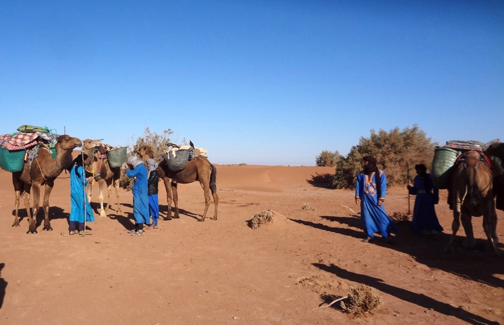 Excursion trek de 4 jours dans le désert marocain