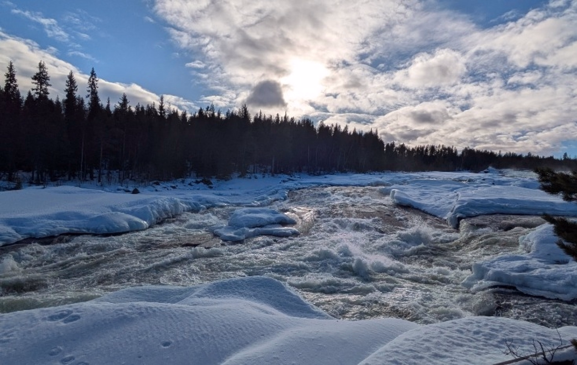Immersion en Laponie Suédoise