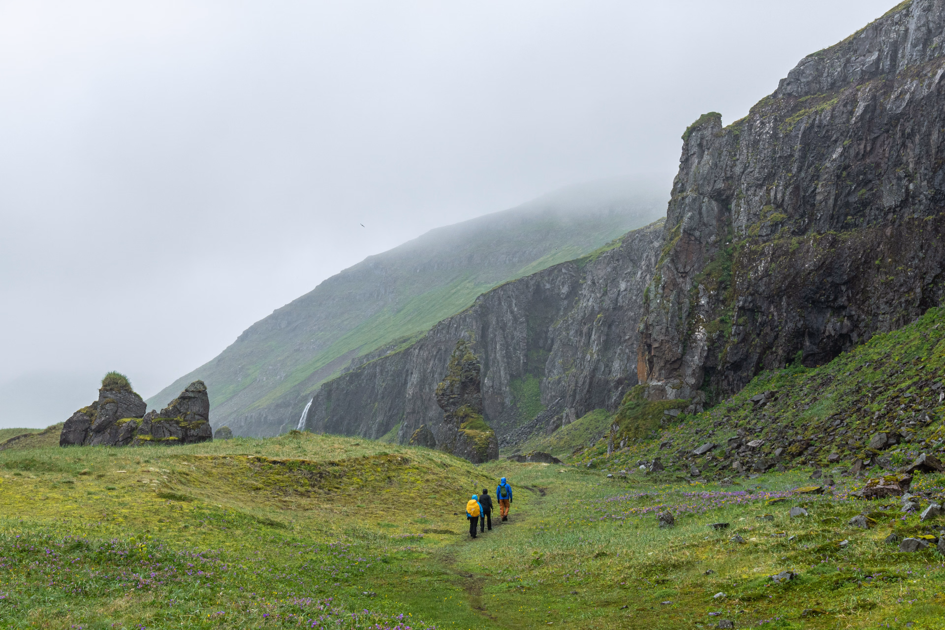 Excursion randonnée dans la réserve naturelle isolée de Hornstrandir