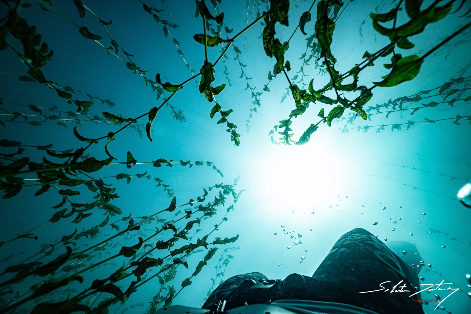 Séjour découverte apnée et plongée