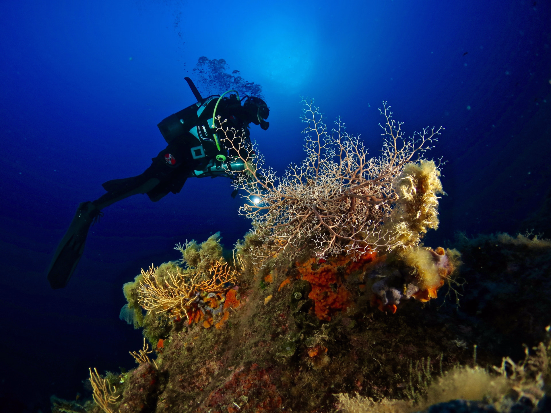 L'ile d'Elba sous la mer