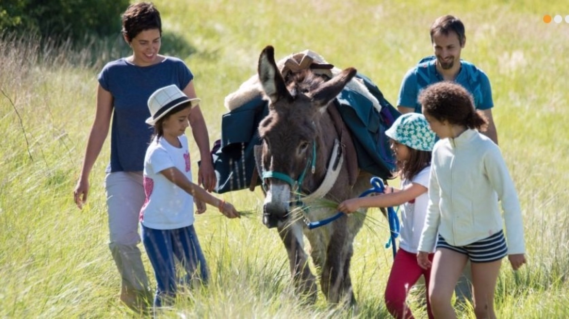 Multi-activités dans le Parc du Haut Languedoc