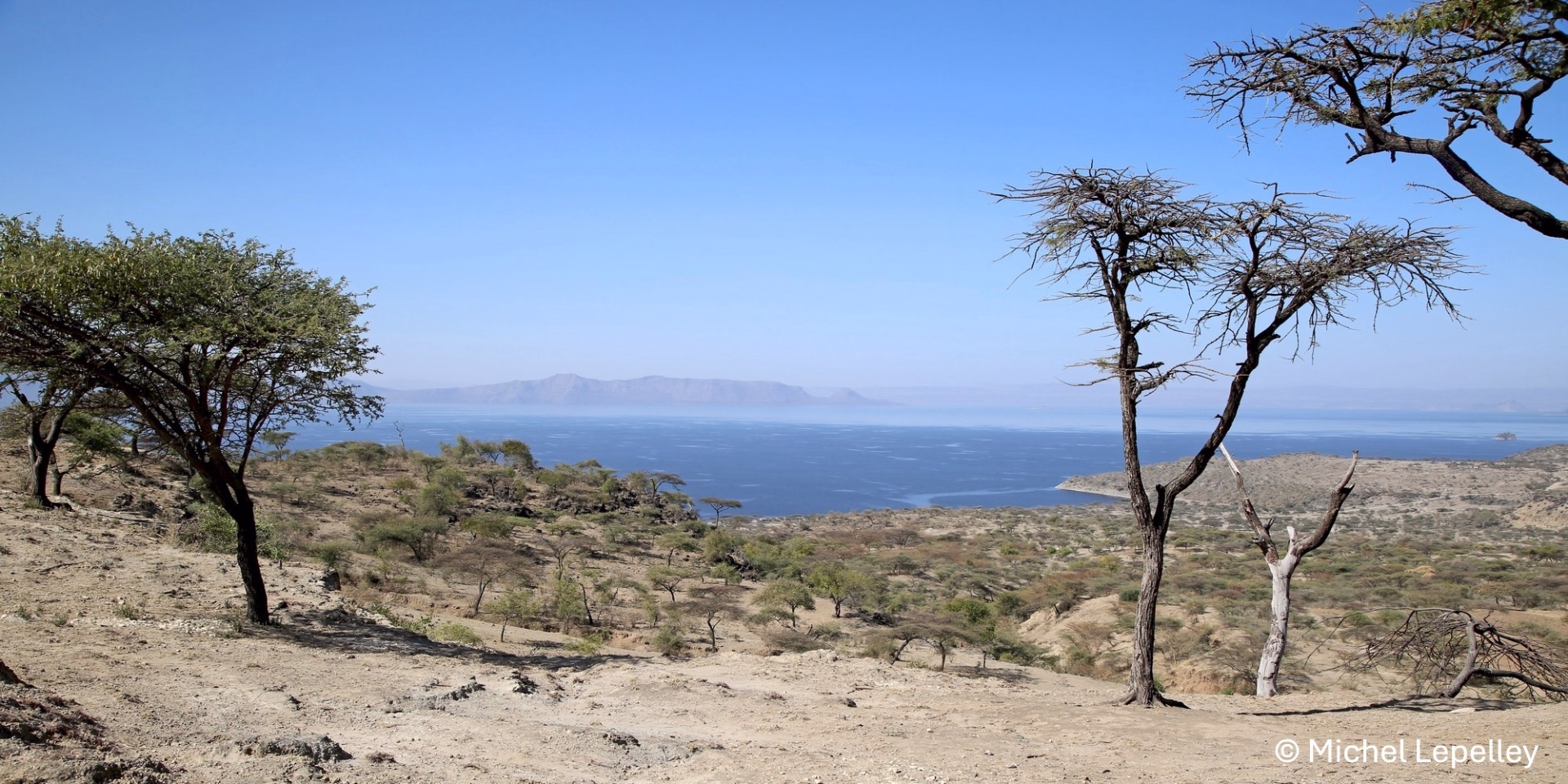 Safari animalier et nature sauvage au cœur de l’Éthiopie