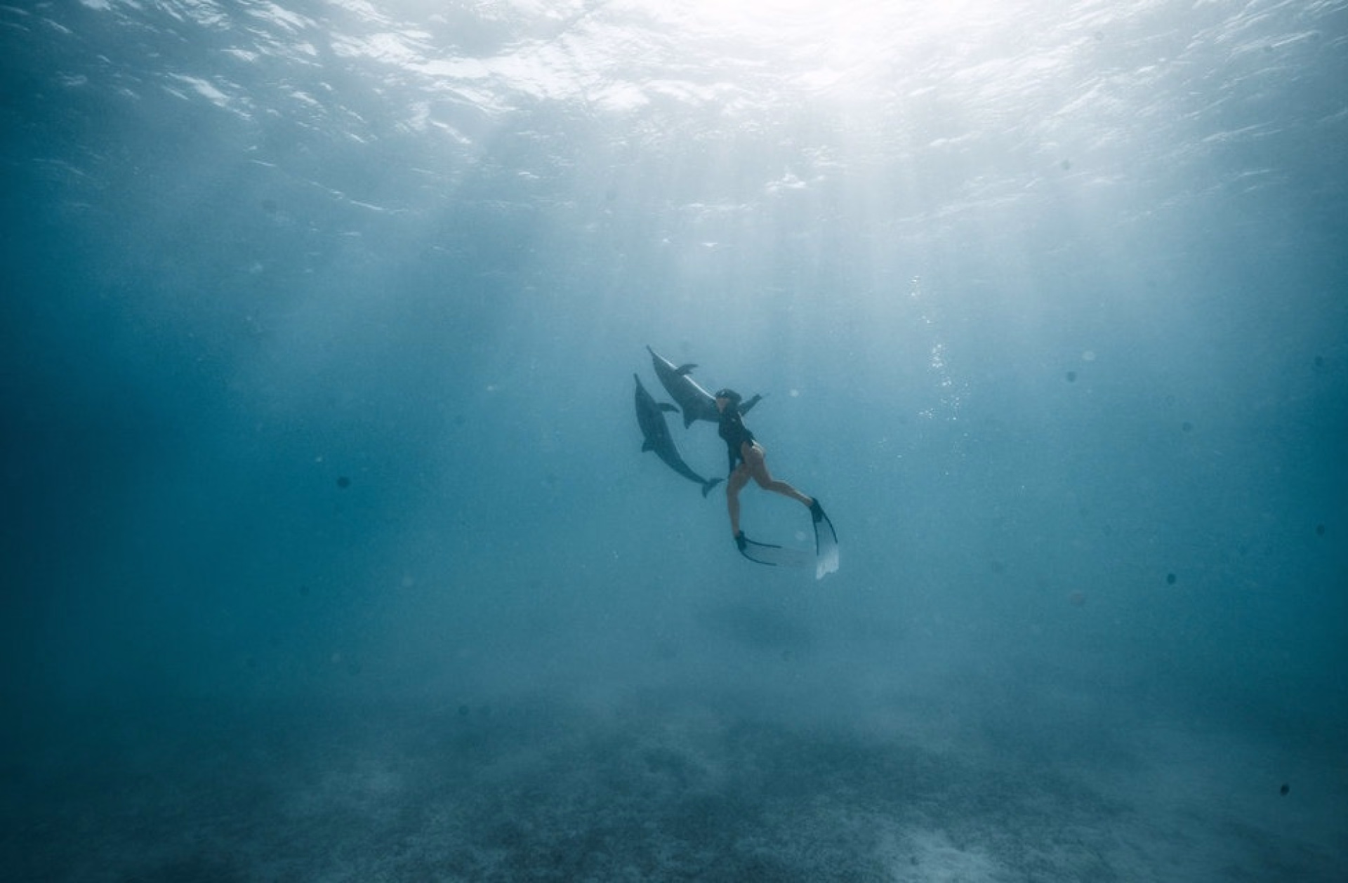 À la découverte de l'océan en apnée