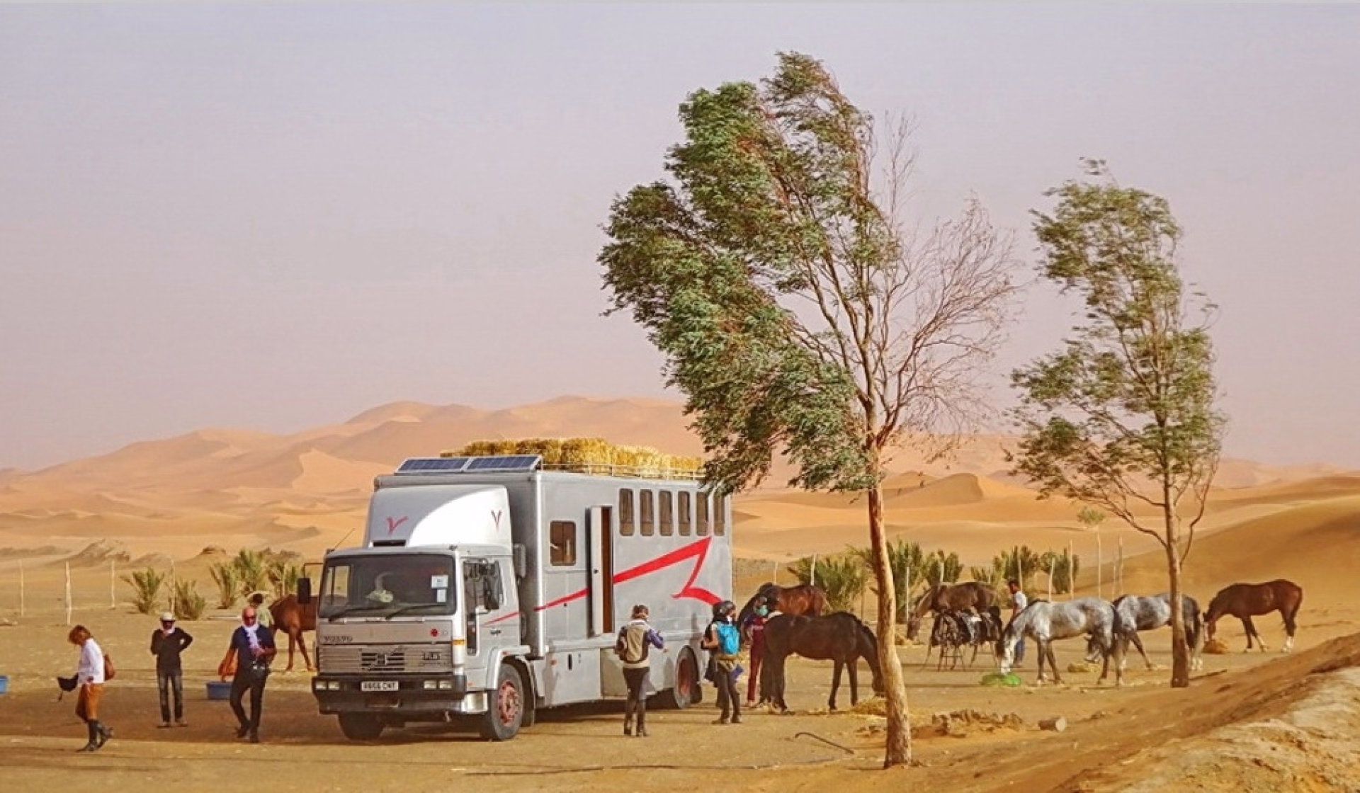 Expédition à cheval aux Portes du Sahara
