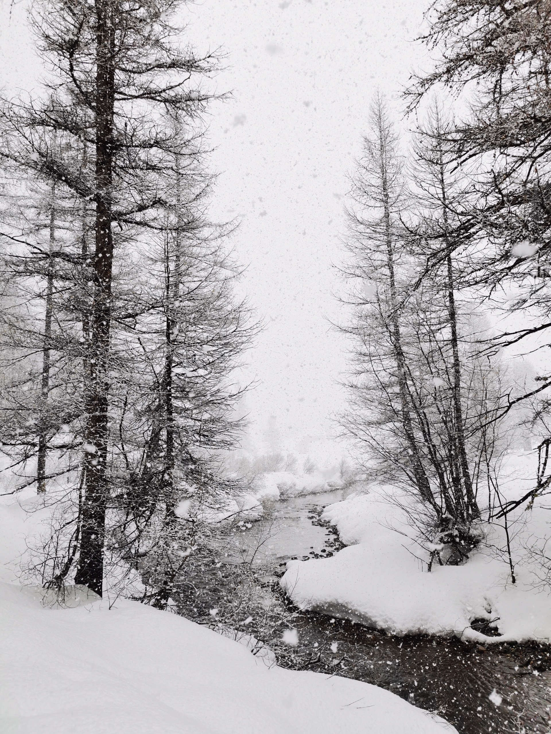 Nouvel An en refuge non gardé dans la Vallée de la Clarée