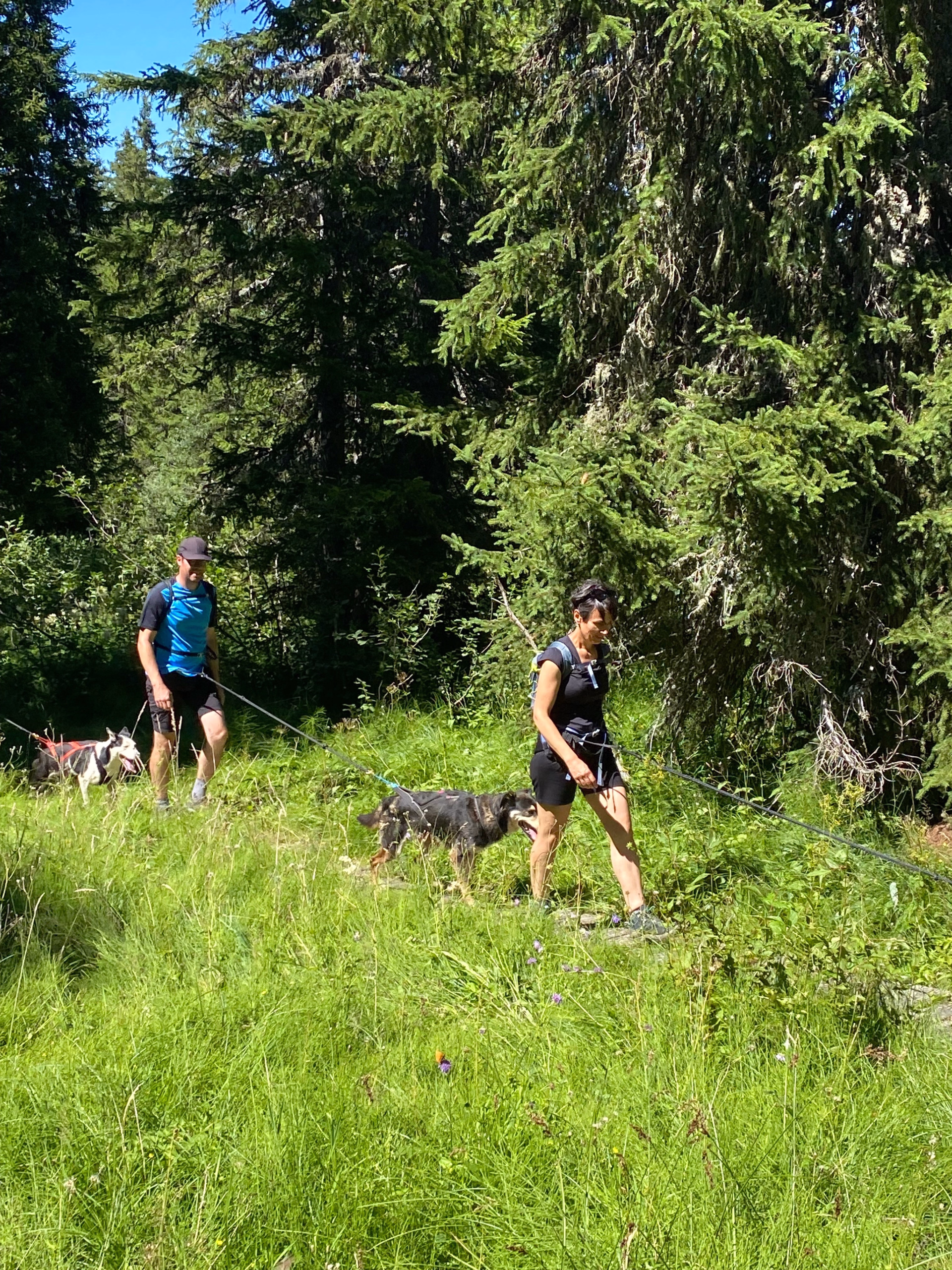 Multi-activités d'été en Laponie suédoise