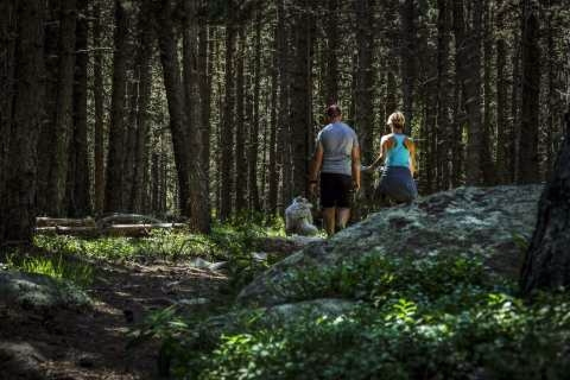 Le plein d'energie dans les pyrénées catalanes
