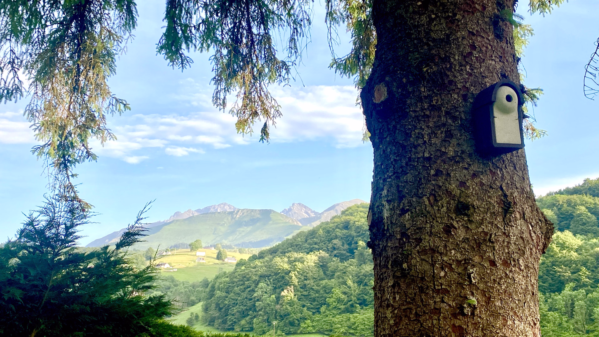 🏠 Chalet privé - Jours 1 à 3