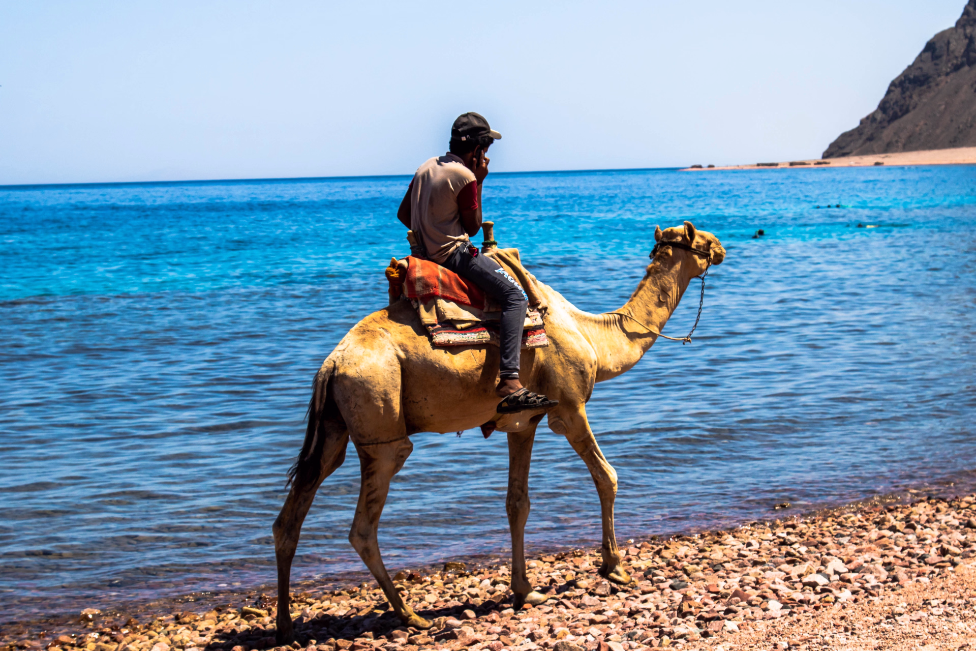 Expédition Sinaï : pack 10 plongées et safari désertique