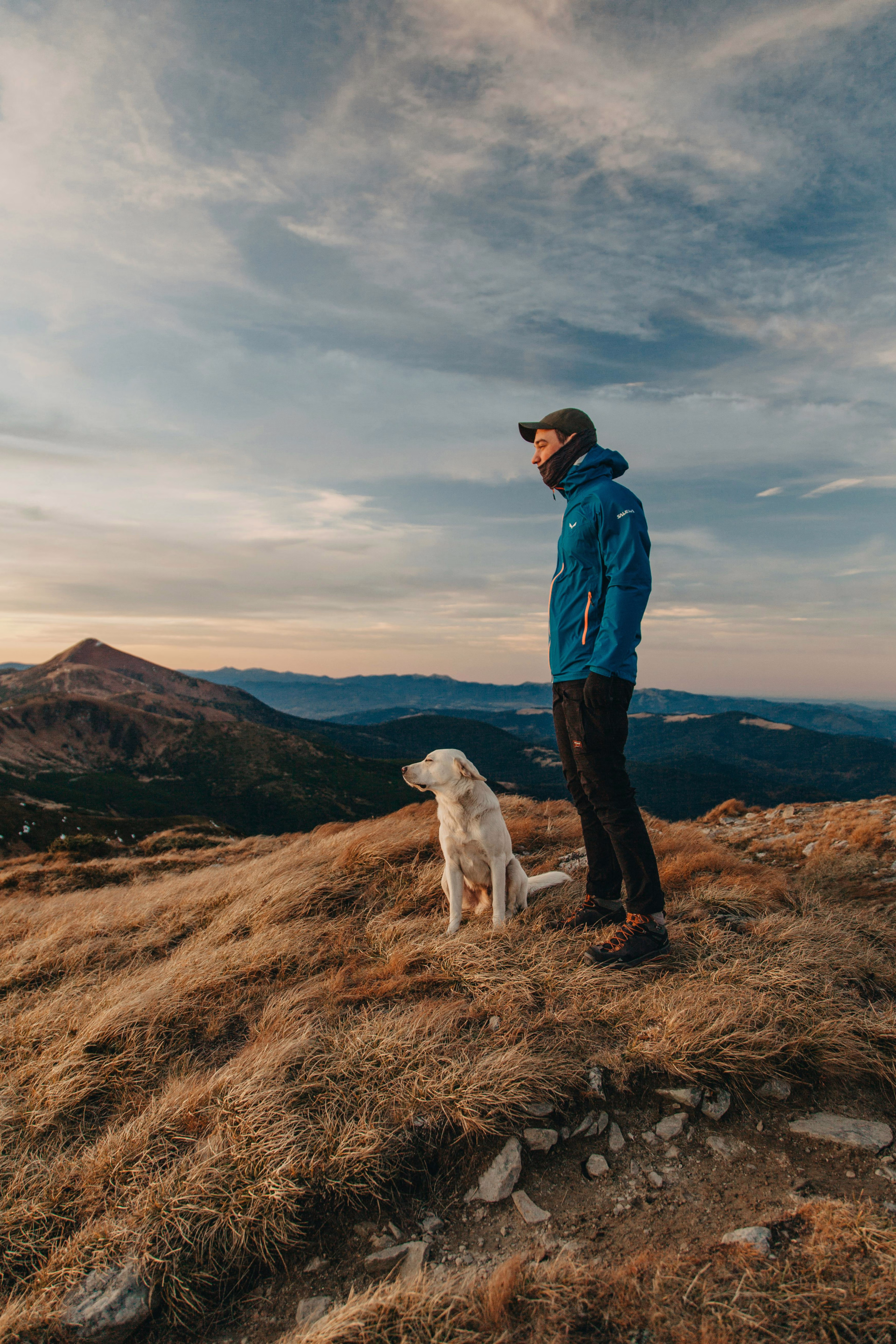 séjour avec son chien