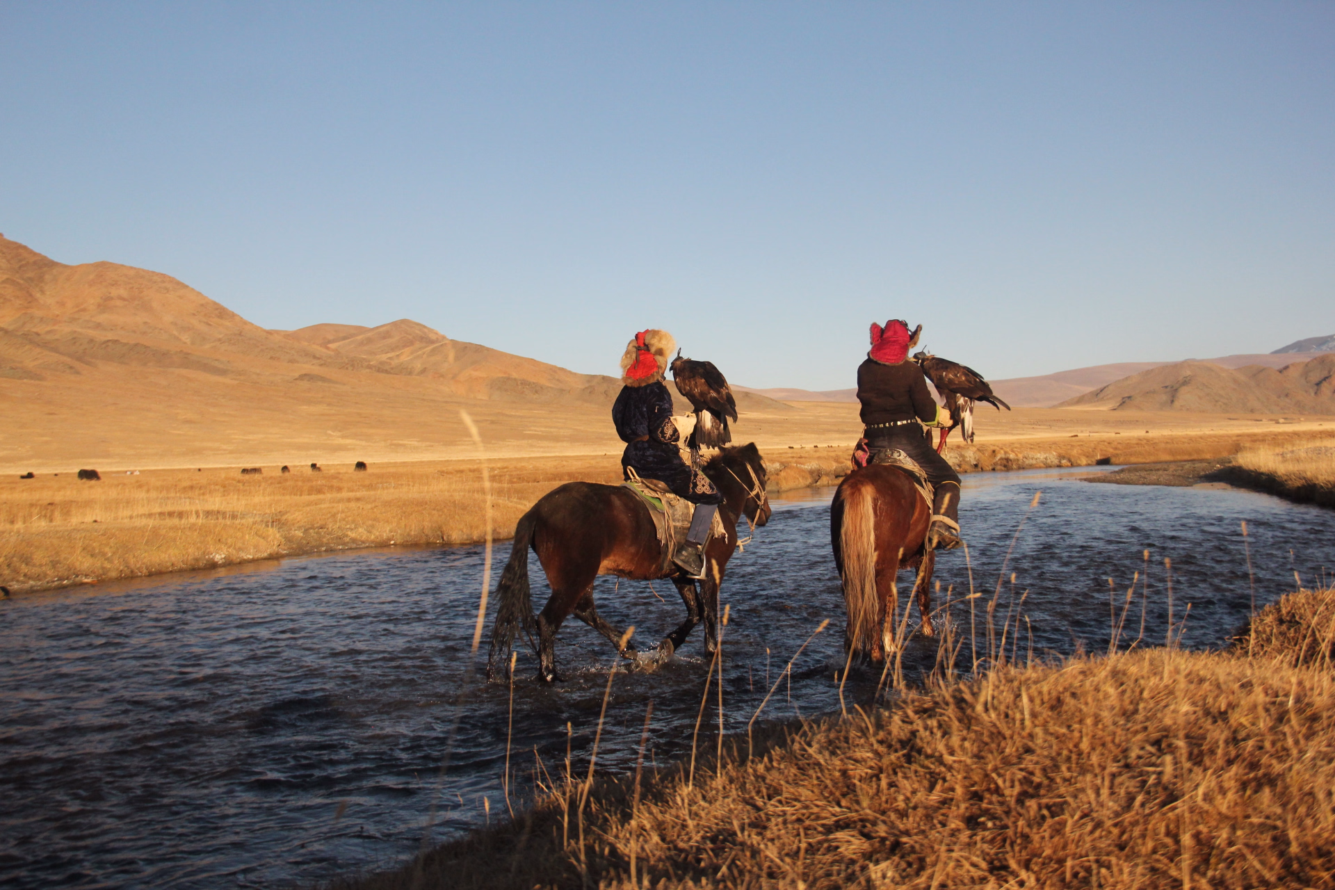 Séjour à cheval au cœur de la Mongolie