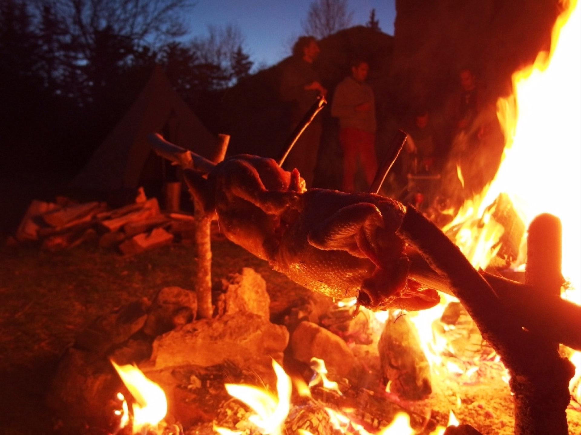 Randonnée et bivouac sur les traces du loup dans les Hautes-Alpes, Gap