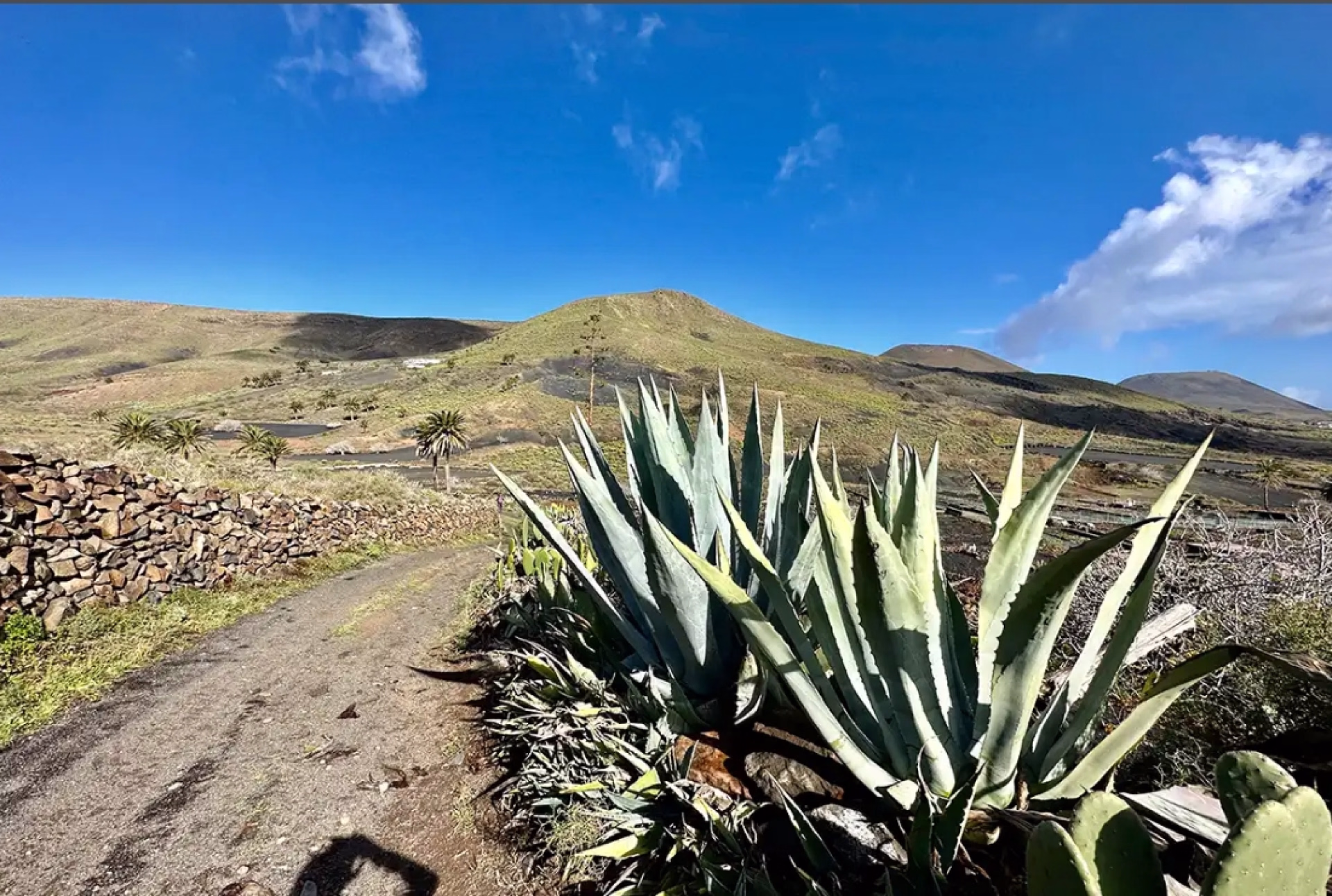Randonnée sur le Camino del Guanche à Lanzarote (GR131)