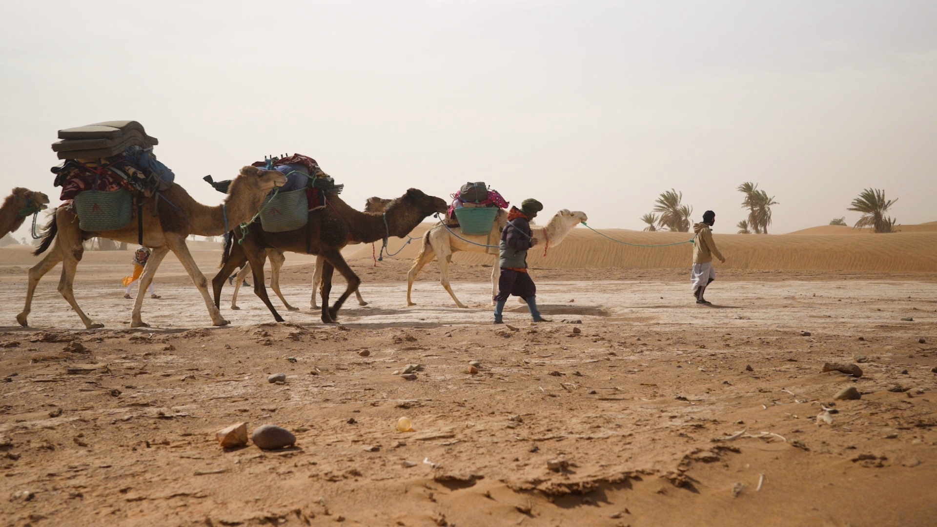 Séjour de 7 jours au départ de Marrakech : désert du Maroc et vallée