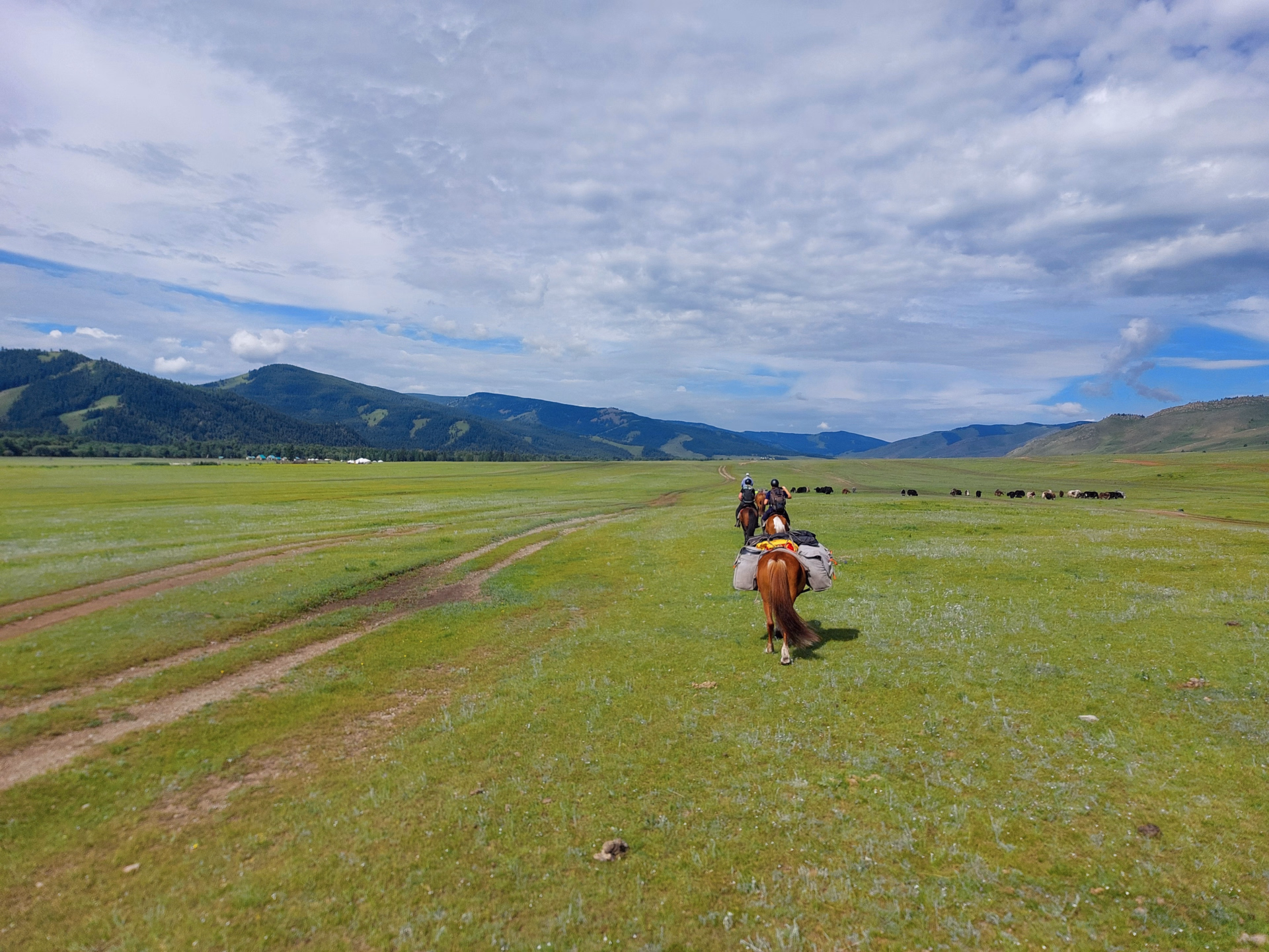 Randonnée à cheval dans le parc national de Terelj en Mongolie