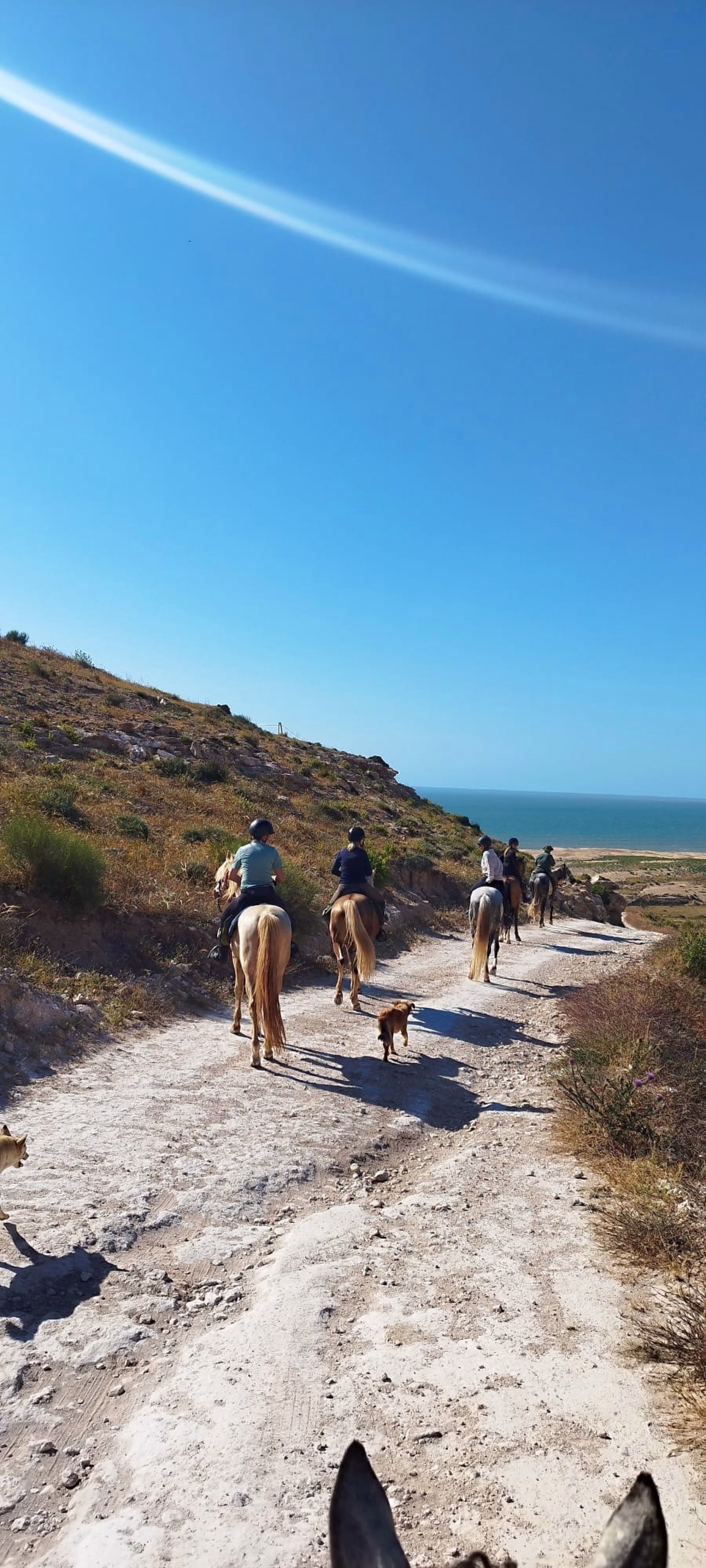La Boucle d'Argana - Randonnée équestre à Essaouira