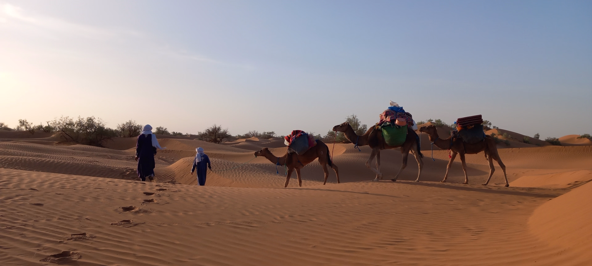 4 jours de trek dans le désert marocain