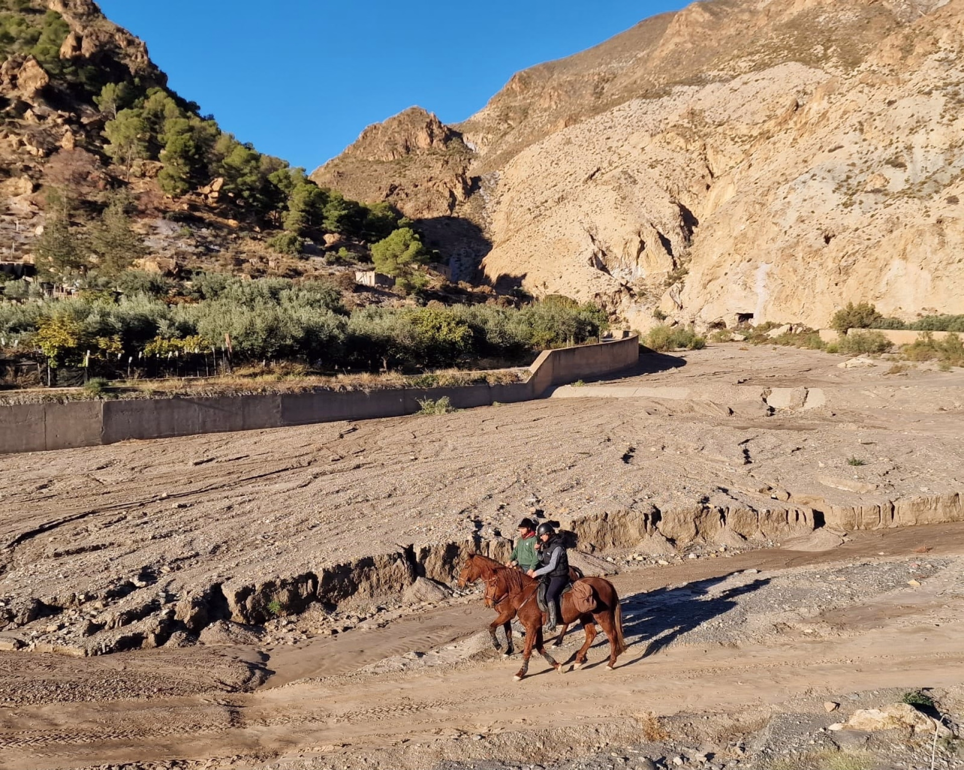 Aventure équestre dans le désert de Tabernas