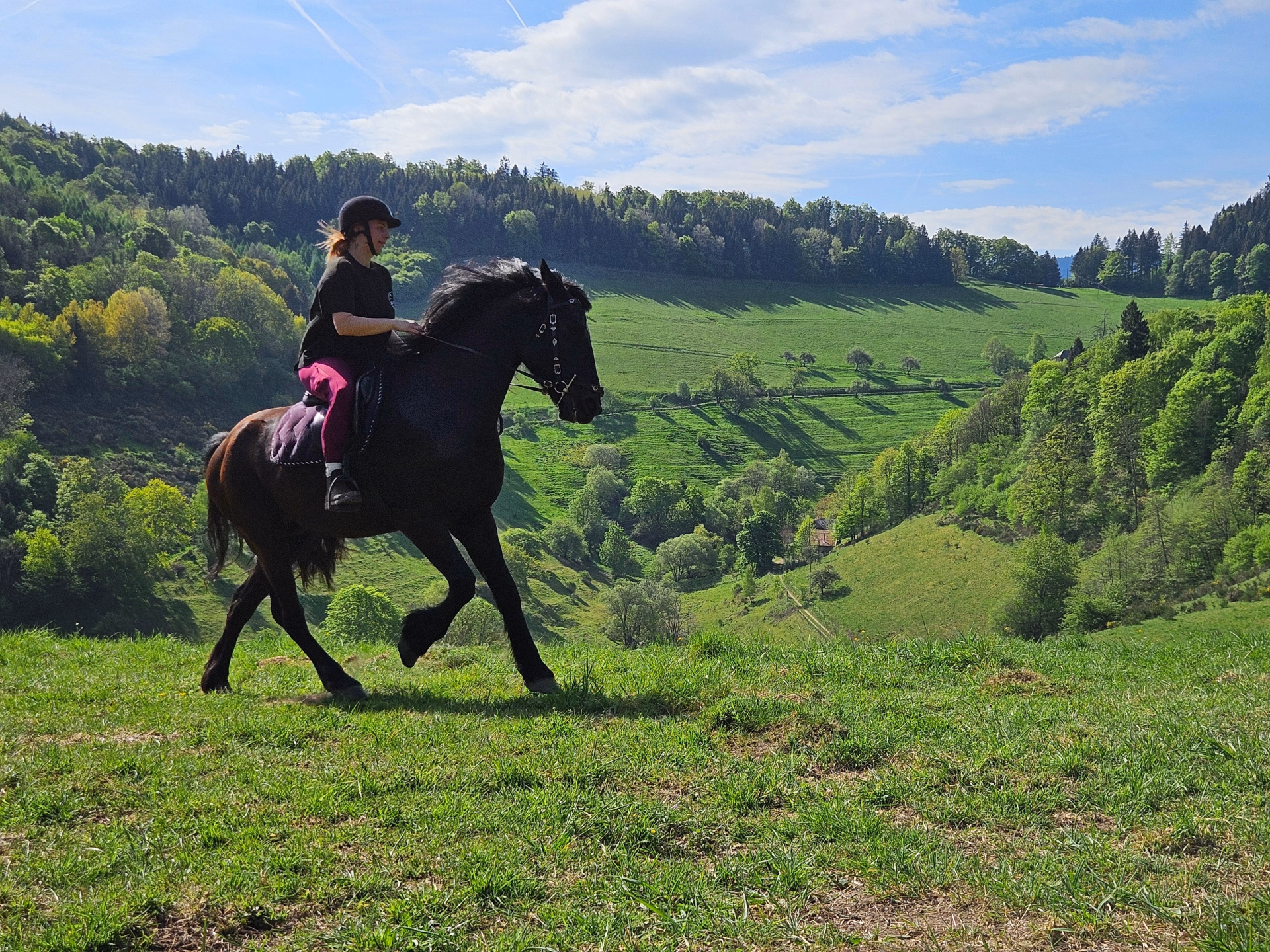 Stage équitation multi-activités au coeur des Vosges