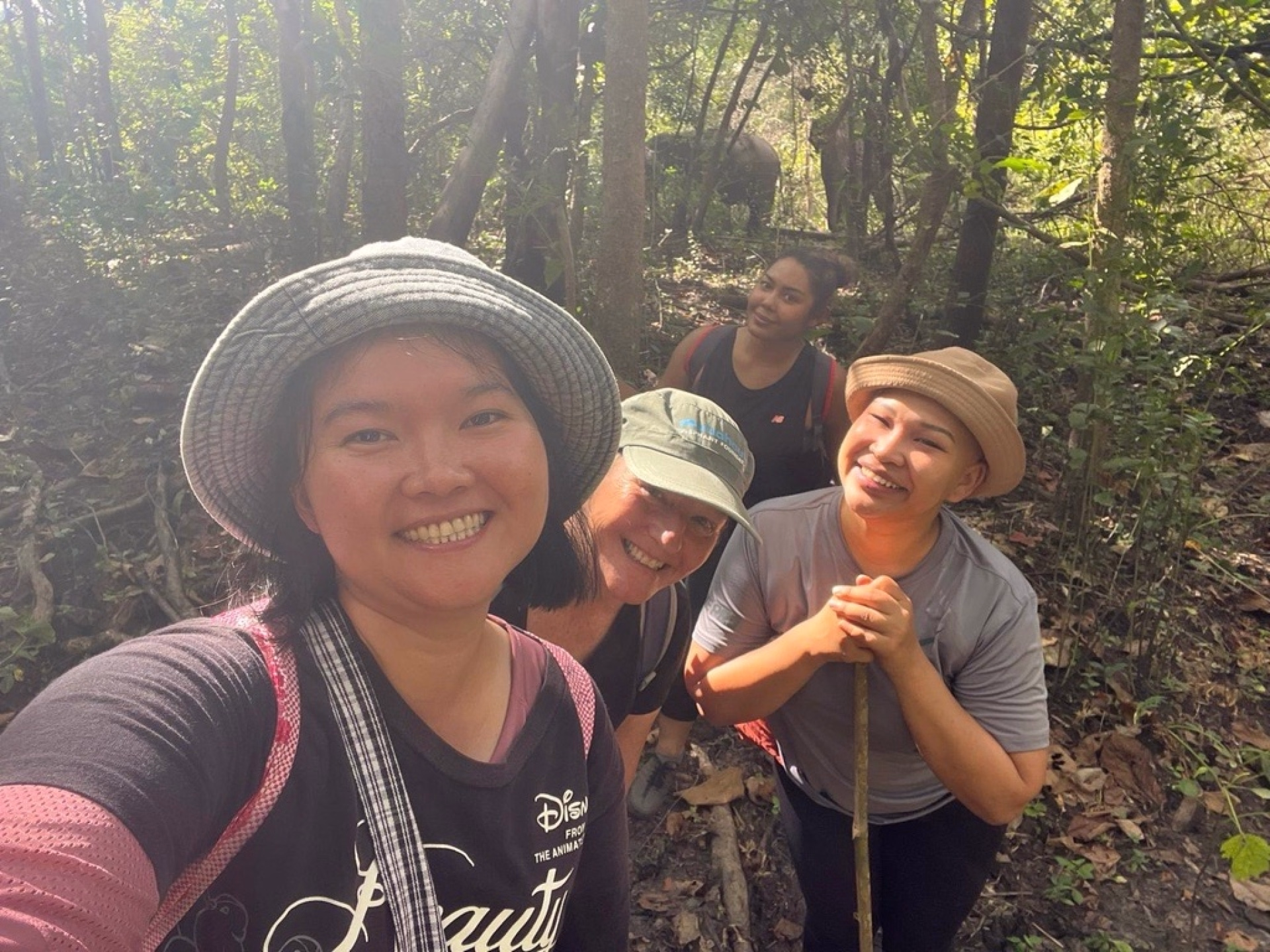 Trek, cascades et éléphants sauvages au cœur de la Thaïlande