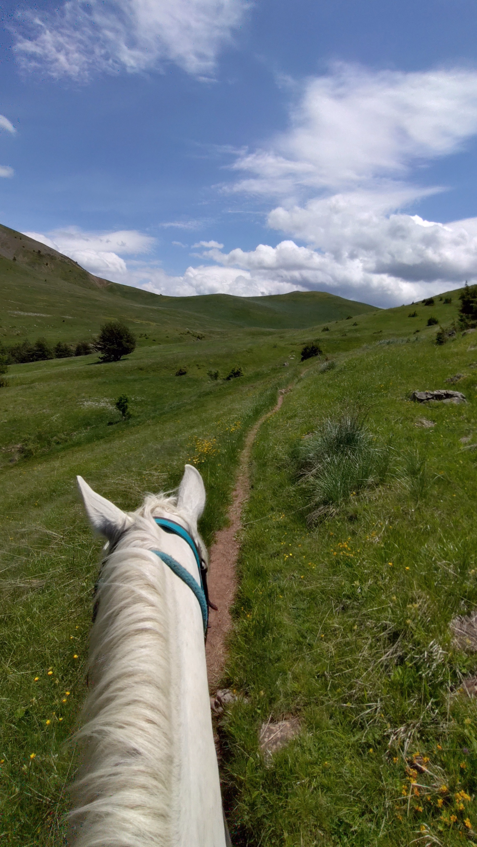 Tour des Monges à cheval