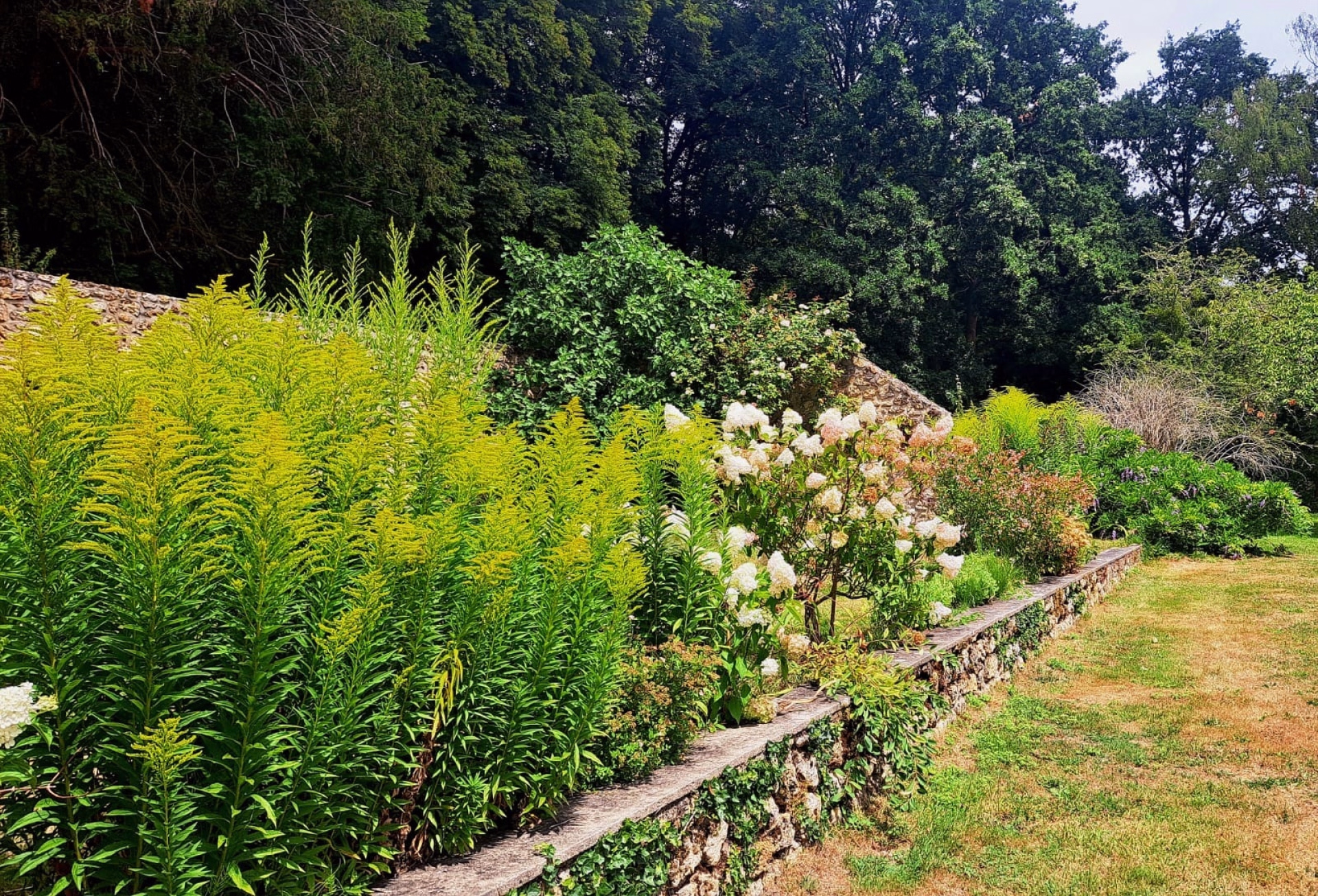 Week-end yoga en vallée de Chevreuse à 1h de Paris