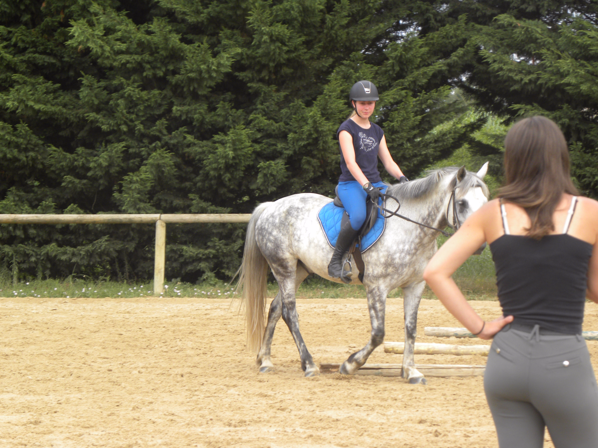 Stage d'équitation dans les vignes en Bourgogne du sud