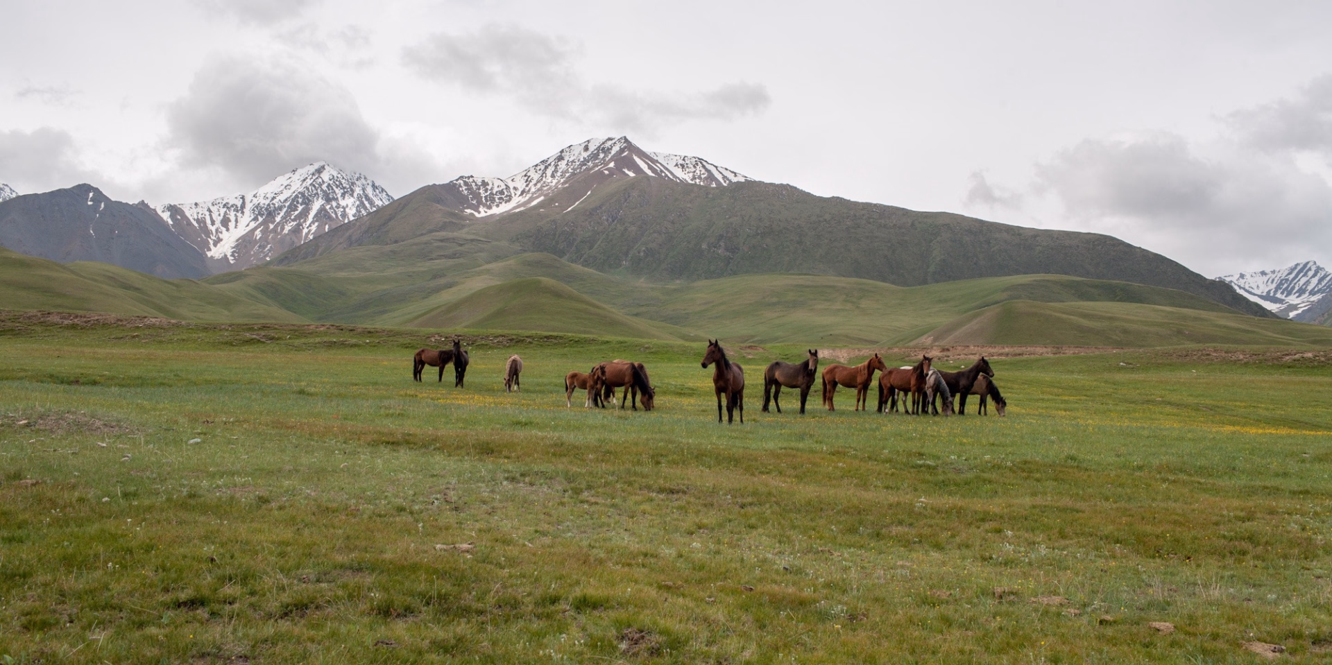 Aventure équestre et nuits en yourte au cœur du Tian-Shan