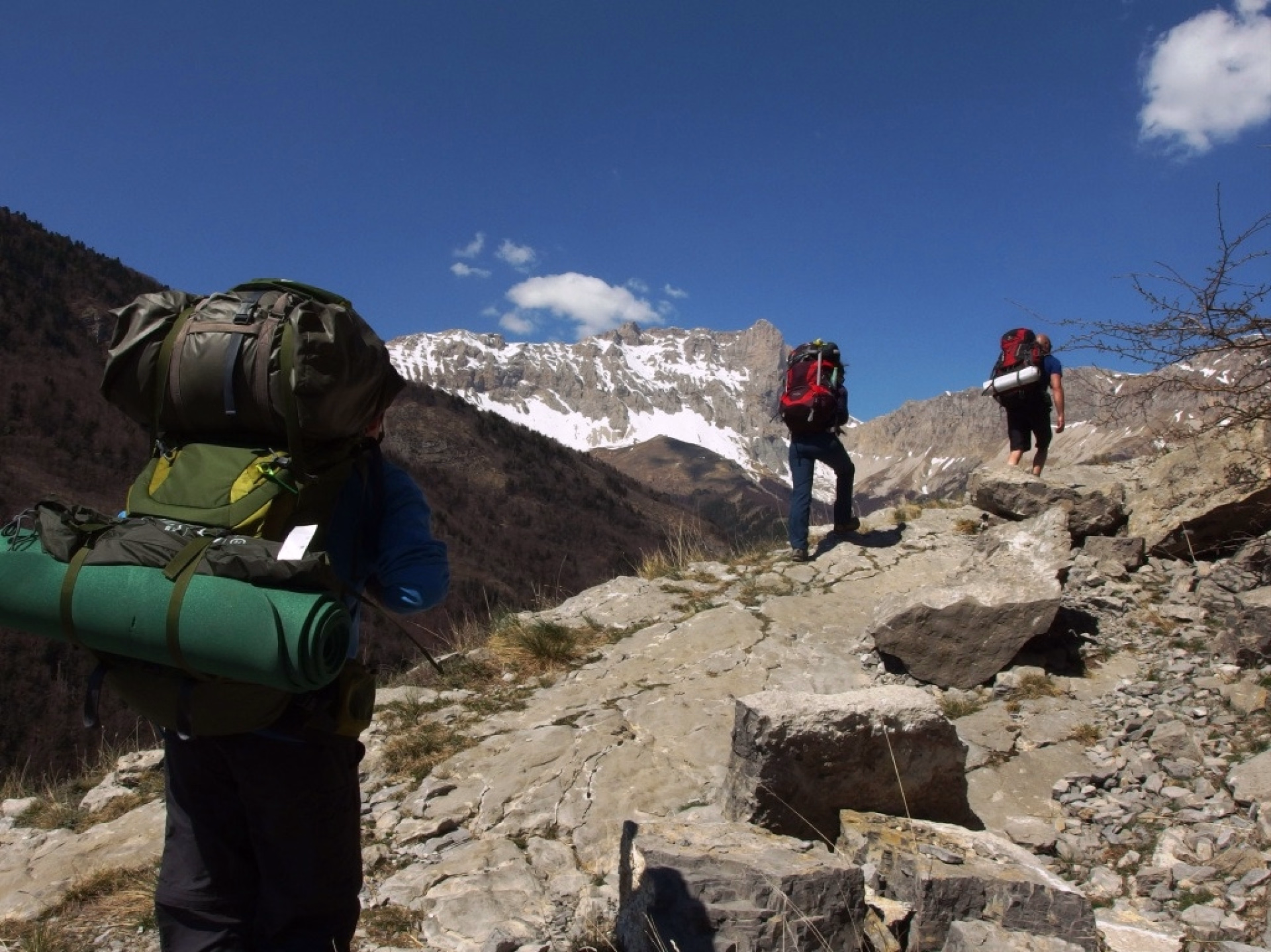 Randonnée et bivouac sur les traces du loup dans les Hautes-Alpes, Gap
