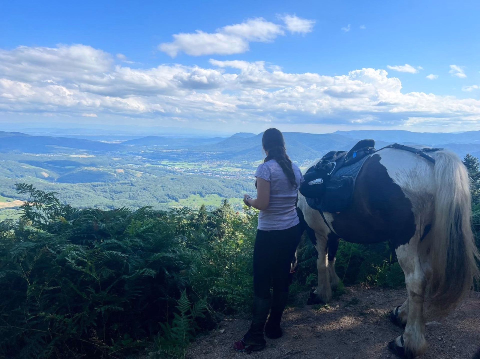 Randonnée équestre tous niveaux au cœur des Vosges