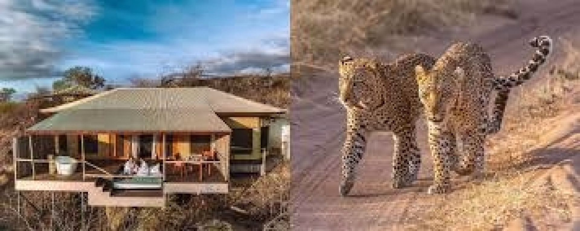 🏨 Hôtel 4* - Jour 9