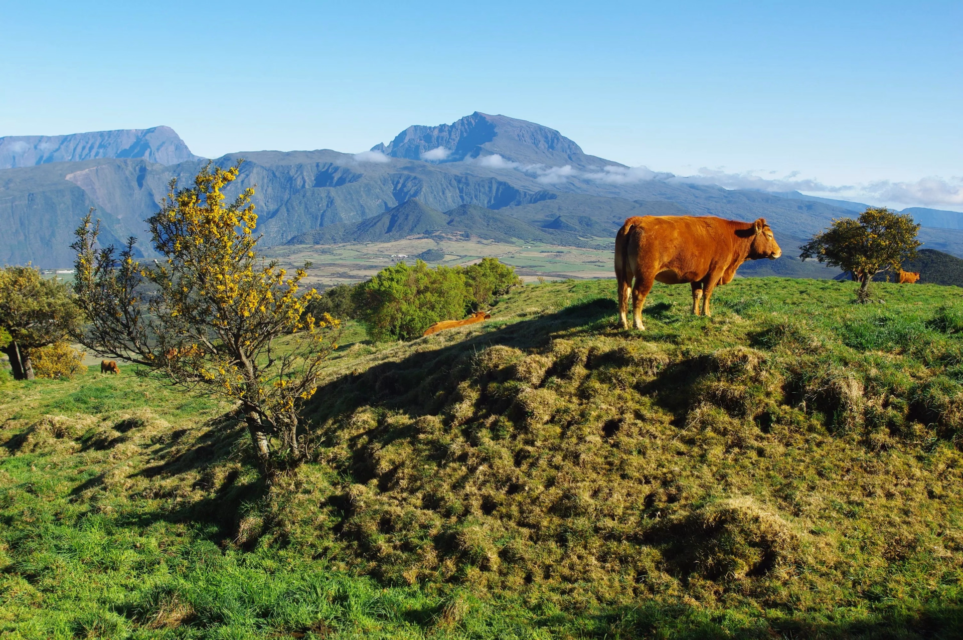 Trek en groupe avec guide local : la traversée des incontournables