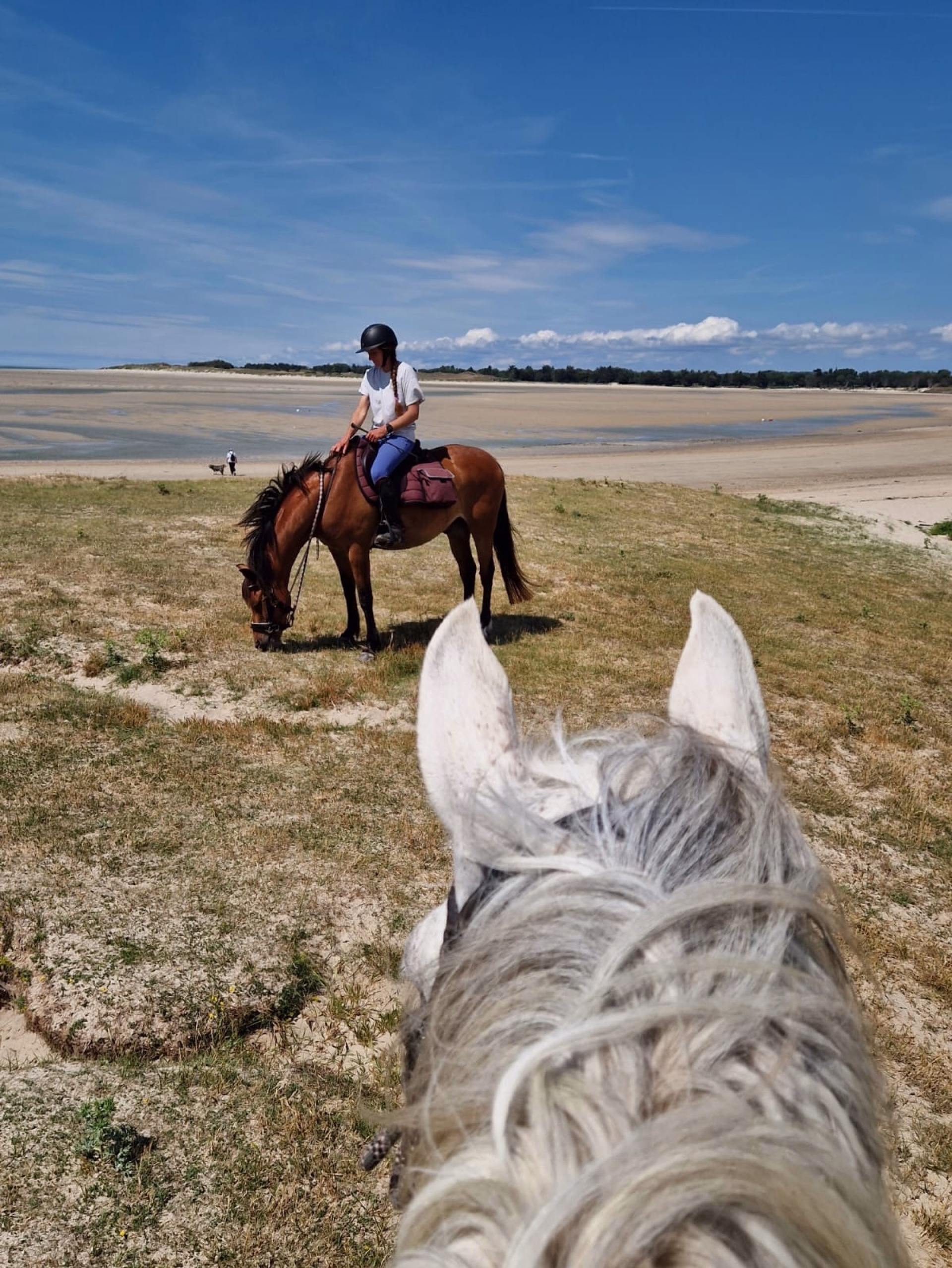 Randonnée à cheval sur les plages de Normandie