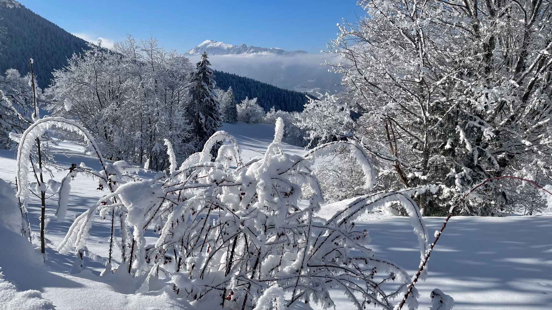 Neige et paysages de Chartreuse en raquettes