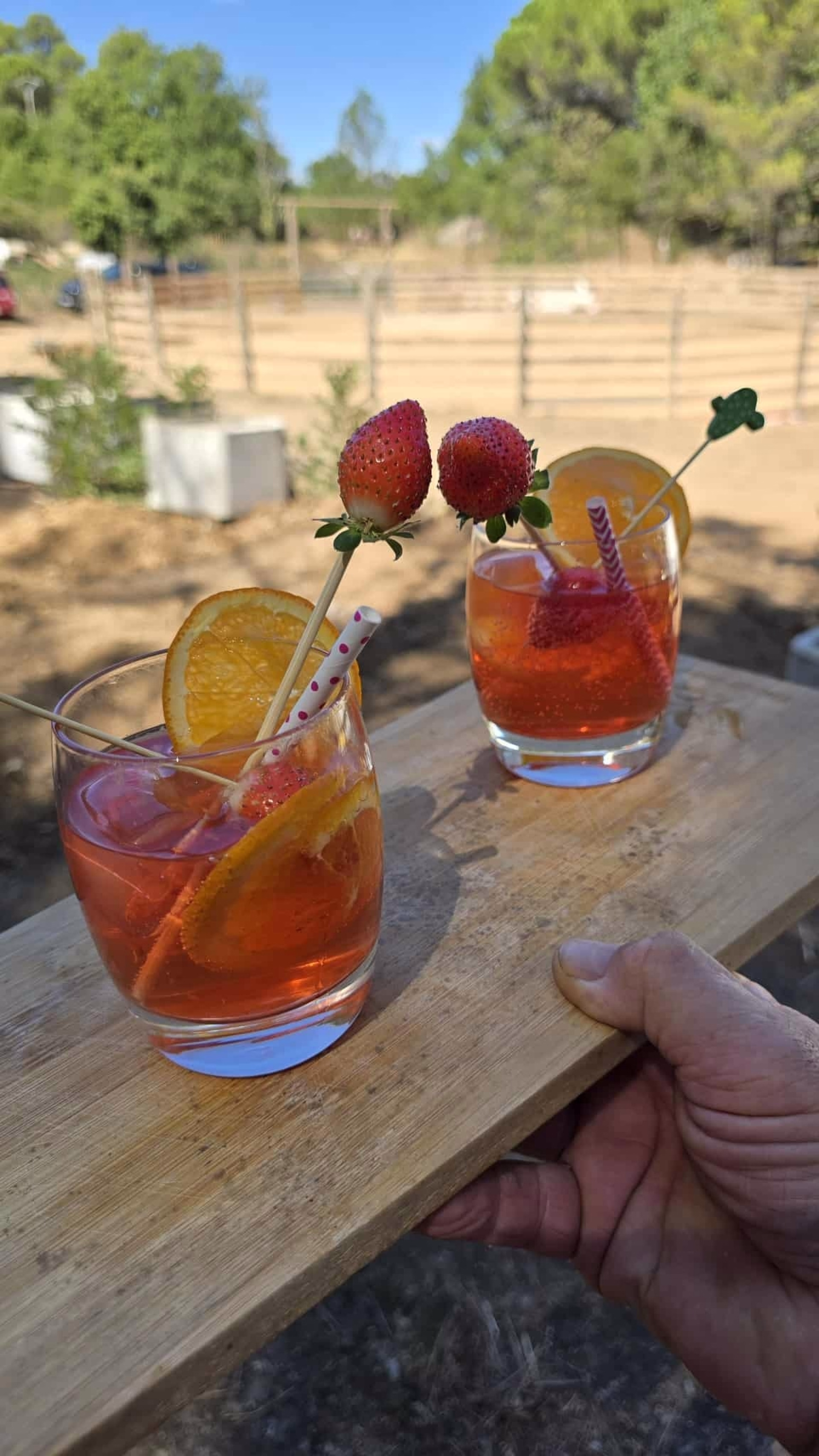 Immersion totale en ranch western en Provence verte