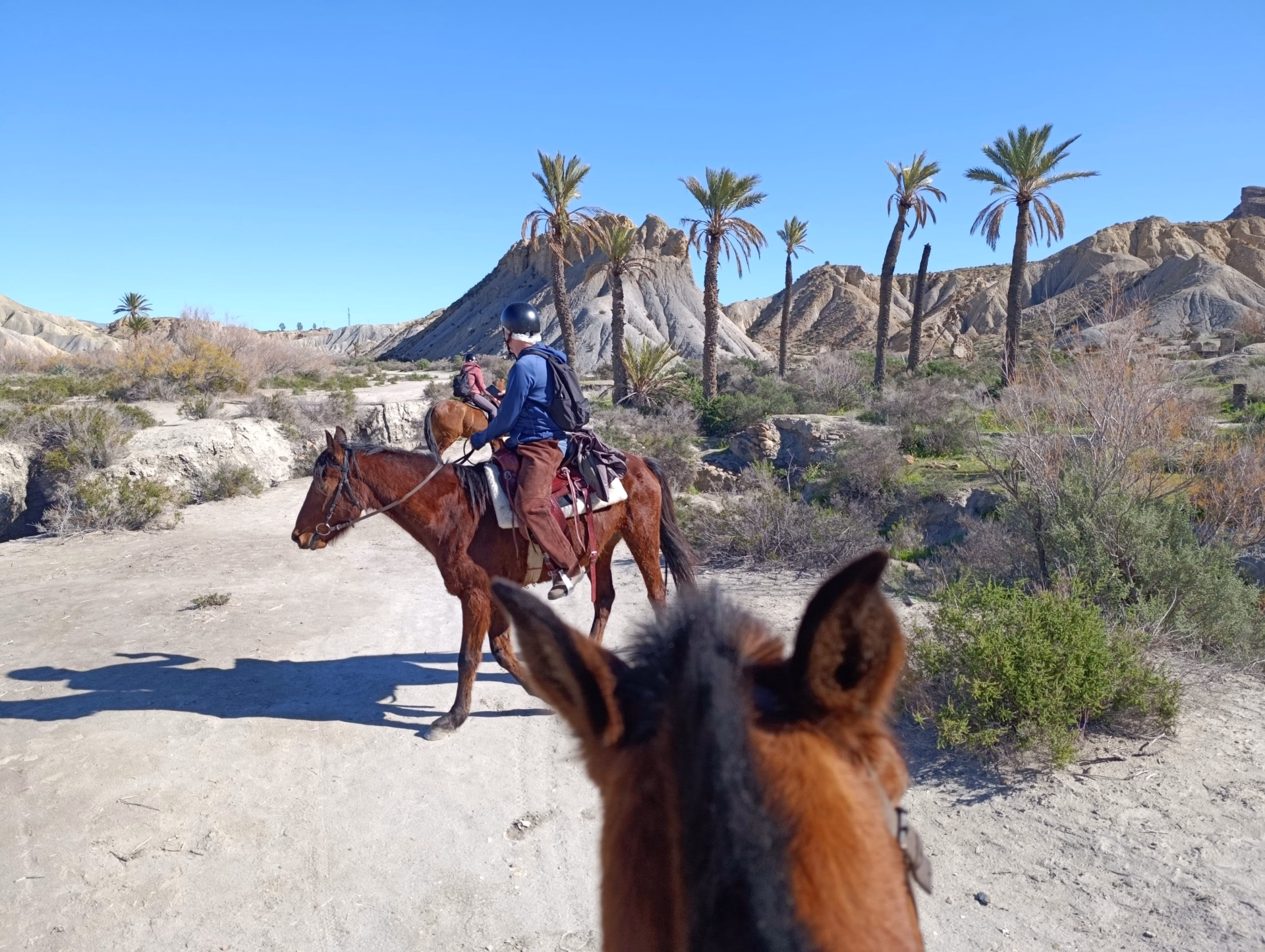 Randonnée équestre dans le désert de Tabernas