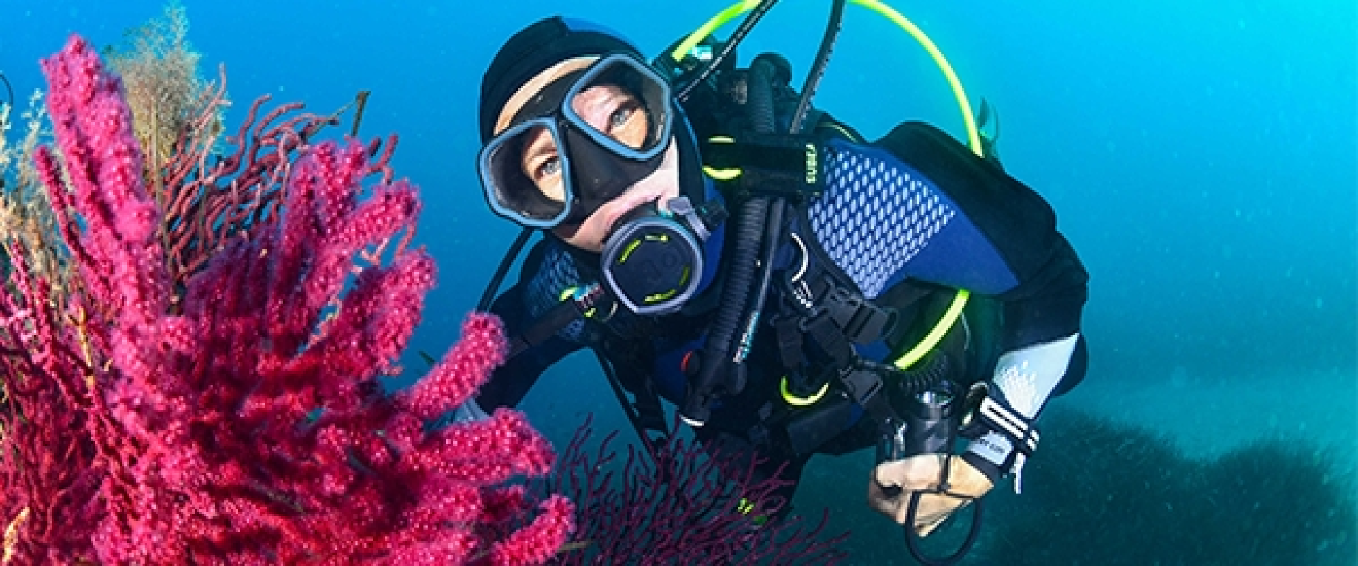 Plongeur devant un corail en Proc