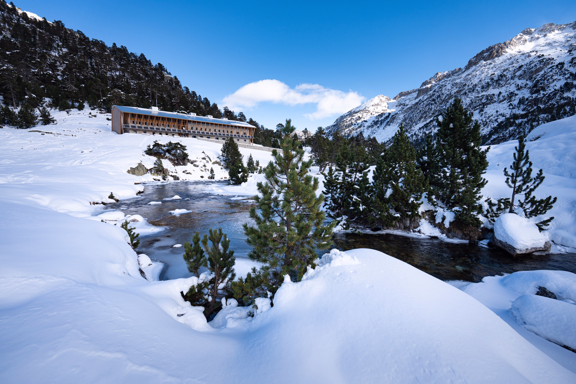 🏔️ Refuge