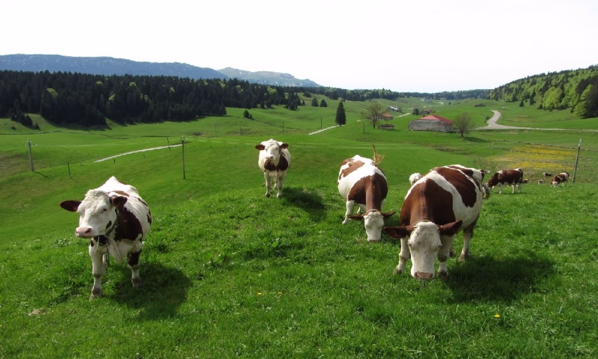 Première randonnée itinérante au cœur du Haut-Jura