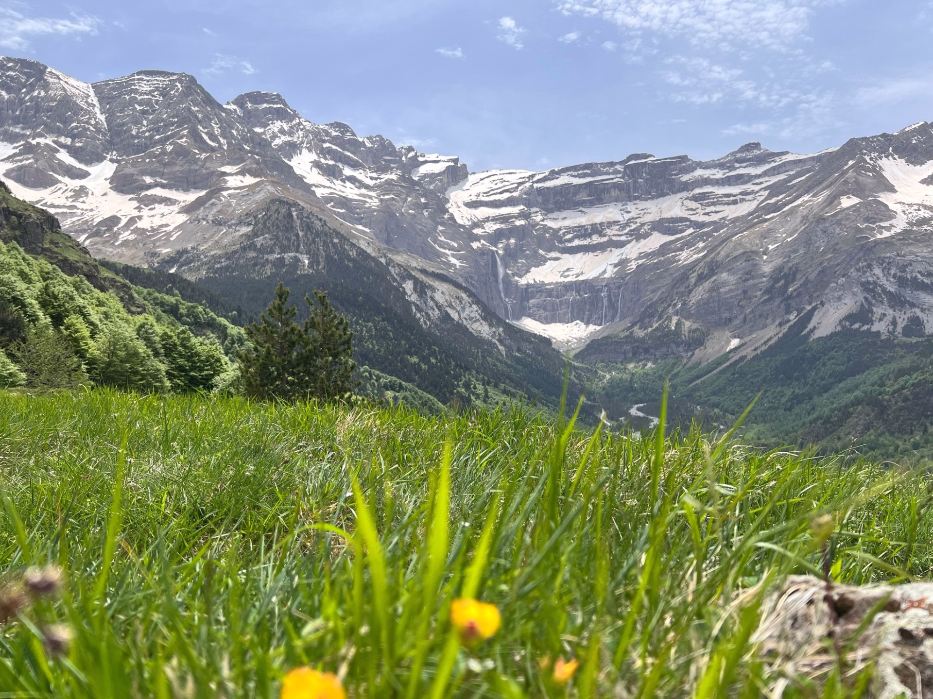 Randonnée authentique et saveurs locales dans les Pyrénées