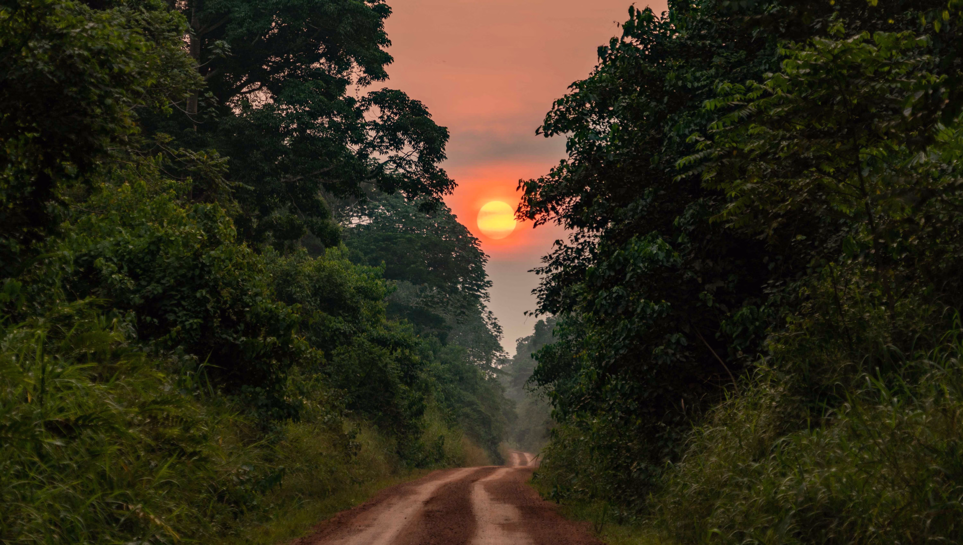 Expédition au coeur de la grande forêt du Congo