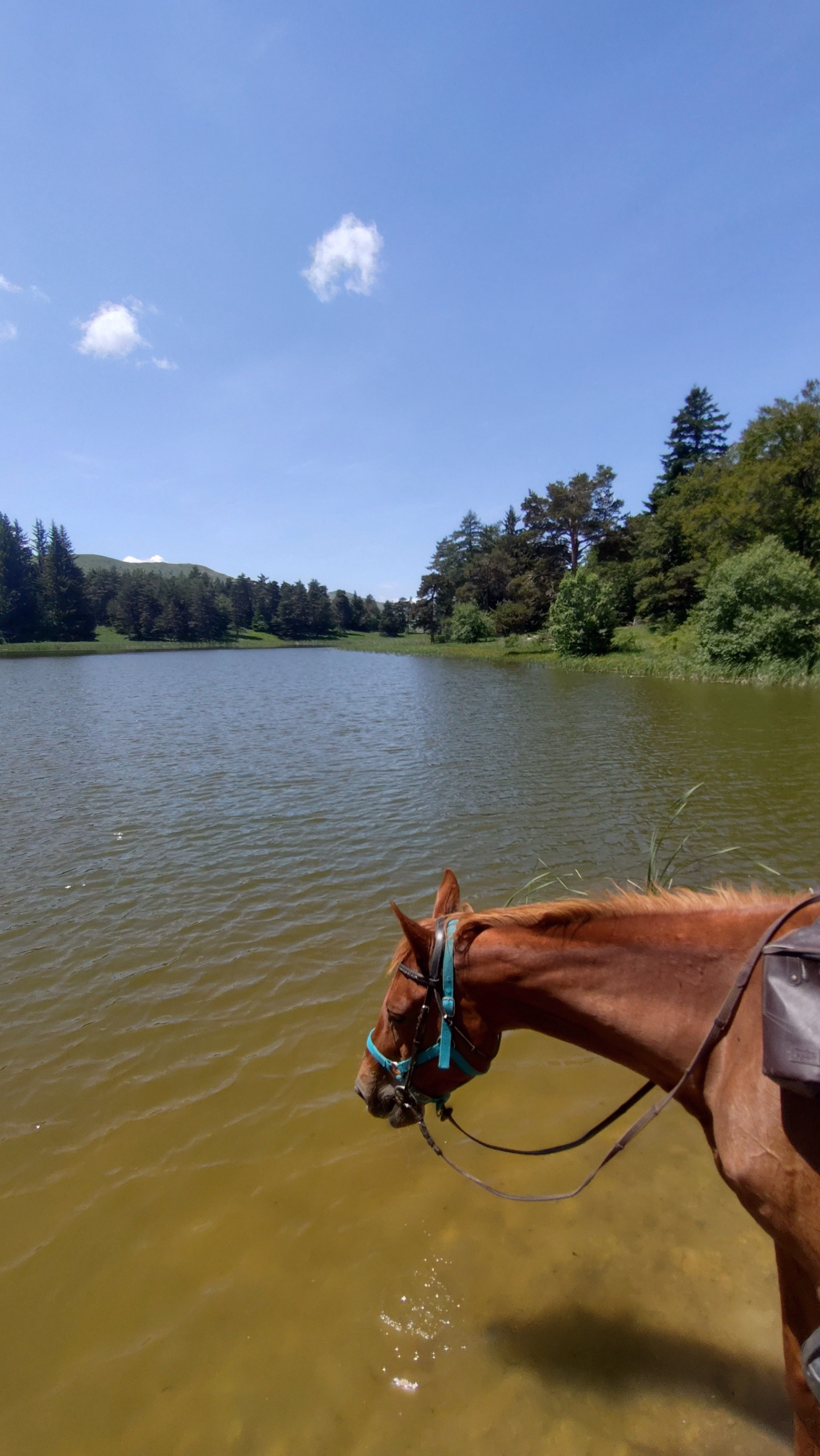 Tour des Monges à cheval