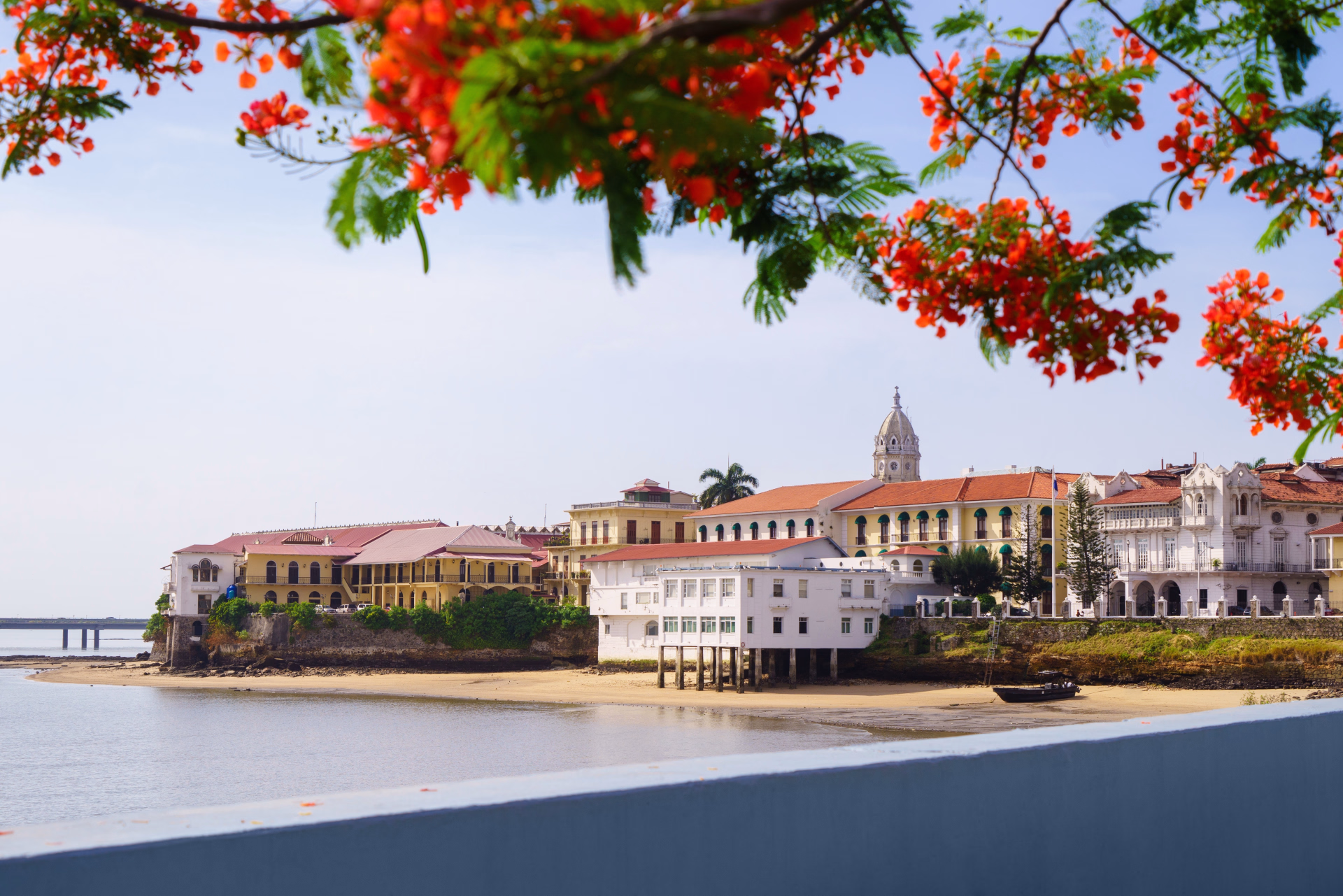 Les plus beaux greens du Panama entre canal et jungle