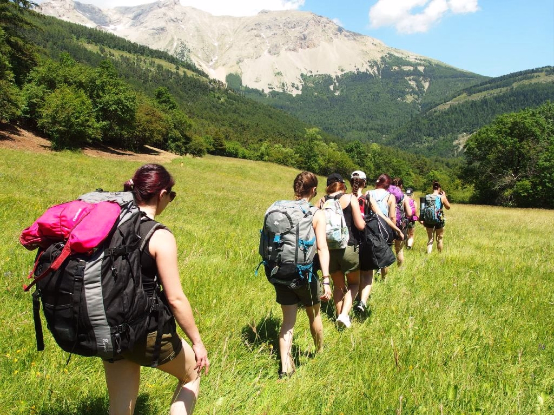 Randonnée et bivouac sur les traces du loup dans les Hautes-Alpes, Gap