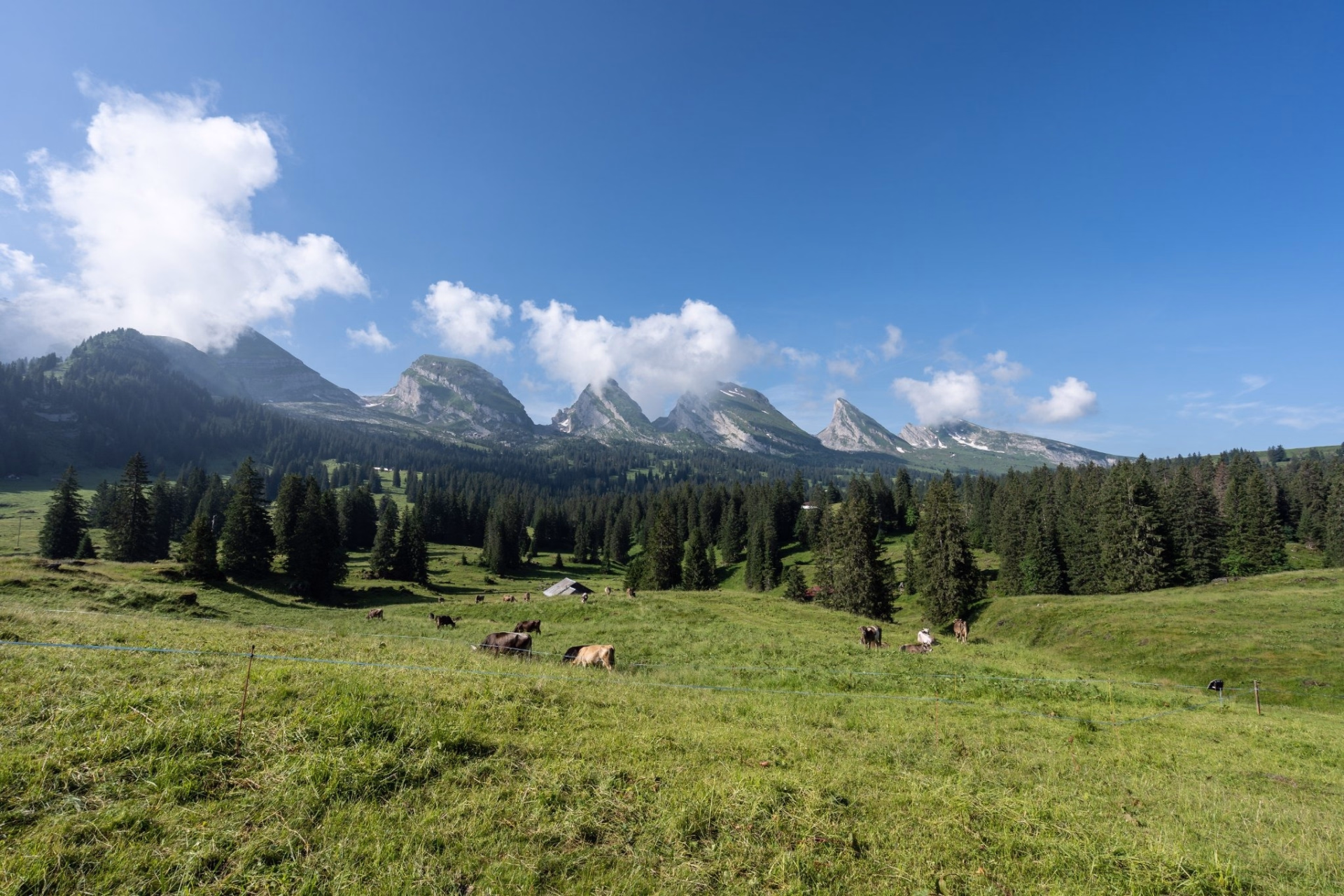 Trail en Suisse : le défi des 7 sommets du Churfirsten