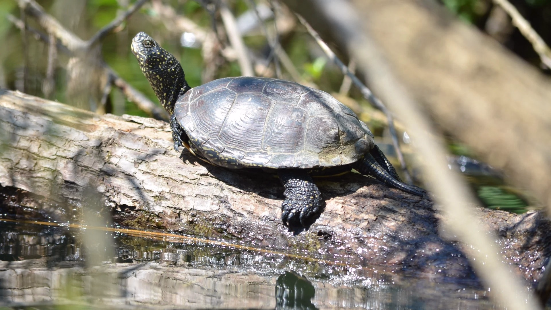 Expédition sur la rivière Mrežnica