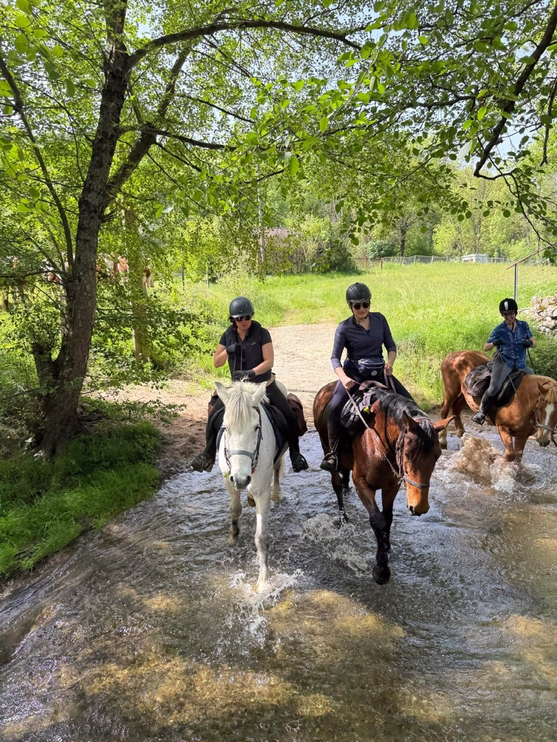 Weekend équestre insolite au coeur de l'Ardèche des châtaigniers
