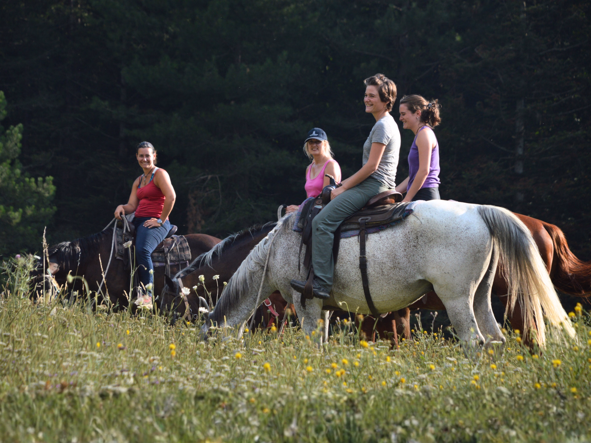 Randonnée à cheval en Toscane