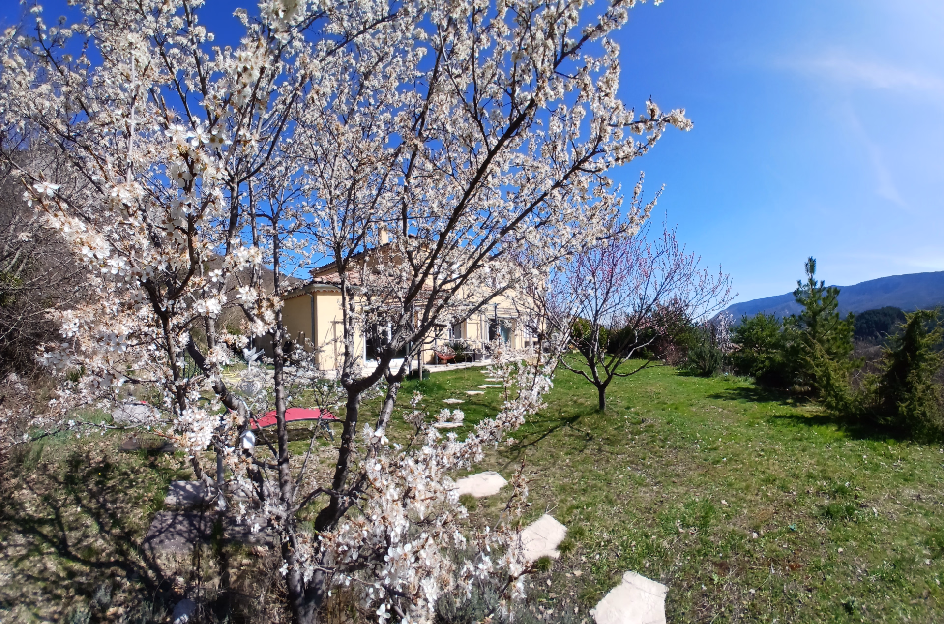 Stage de Hatha et dynamique yoga pour un séjour bien-être à Orpierre